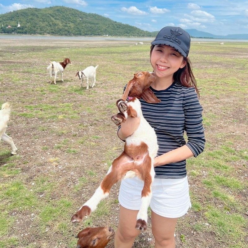 อัญชลี  ไหลพิริยกุล