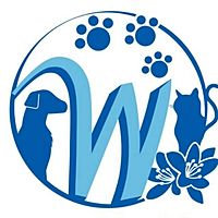 Show profile photo