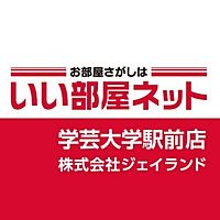 Show profile photo