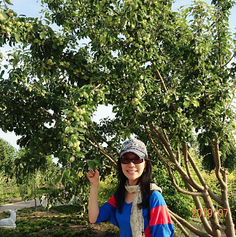 Erin Yuan 時珍的頭像