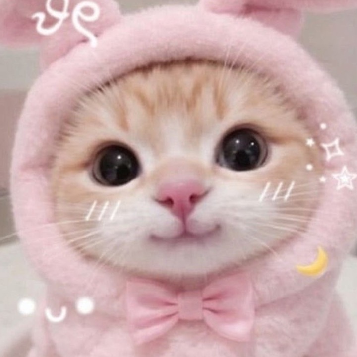 An Image