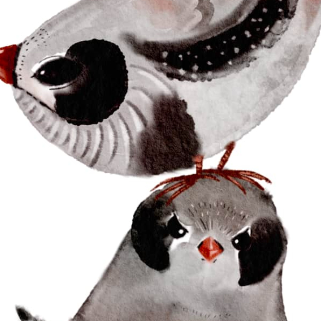 An Image