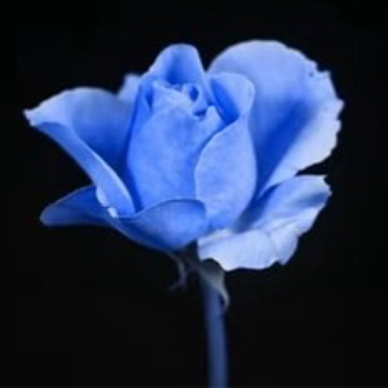 ℕ𝕒𝕟𝕒𝕞𝕚
