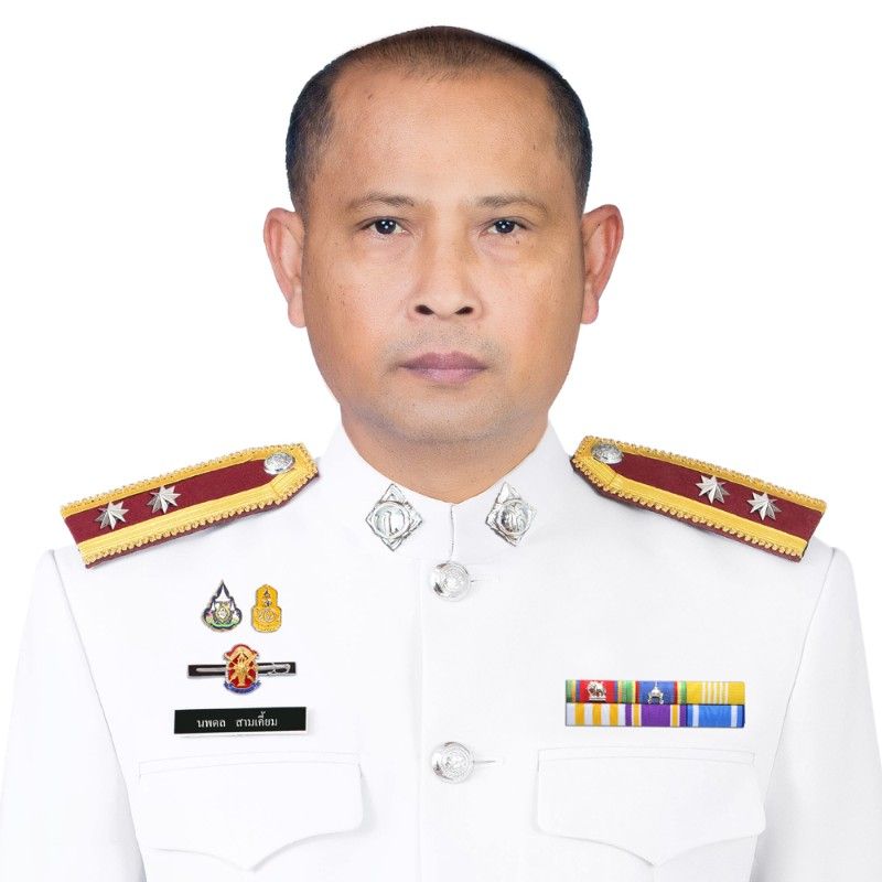 นพดล