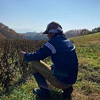 Show profile photo
