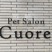 Show profile photo