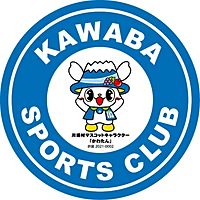 Show profile photo