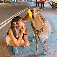 Show profile photo