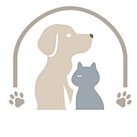 Show profile photo