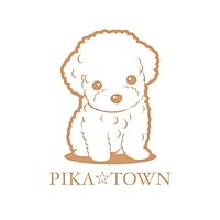 Show profile photo
