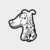 Show profile photo