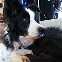 Show profile photo