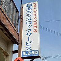 Show profile photo