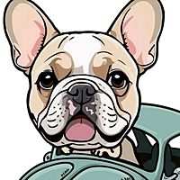 Show profile photo