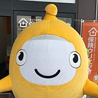 Show profile photo