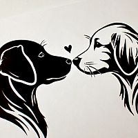 Show profile photo