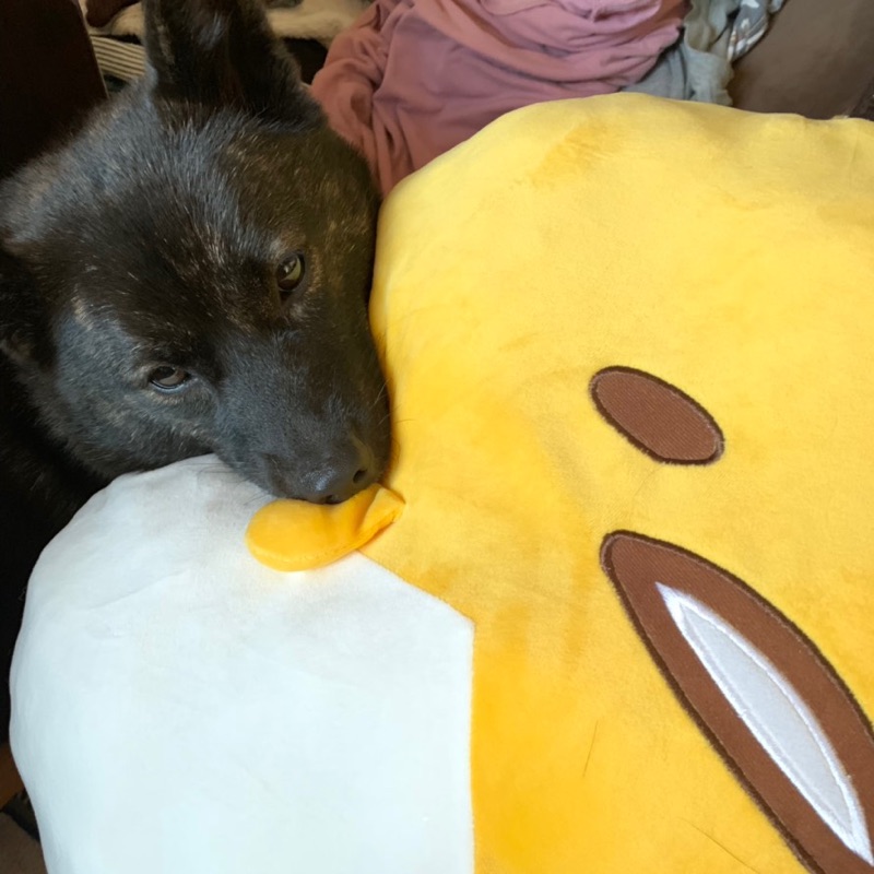 1go
