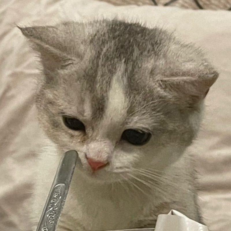 มิว