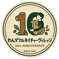 Show profile photo