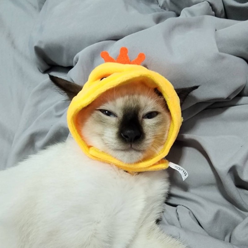 นาง