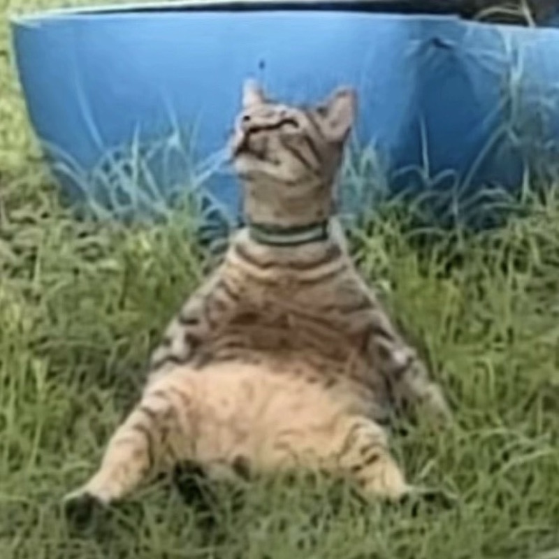 ฮาน่า