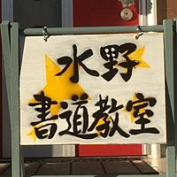 Show profile photo