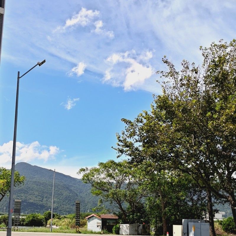 profile