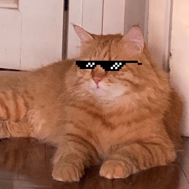 An Image