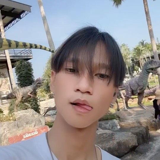 ภูพิงค์