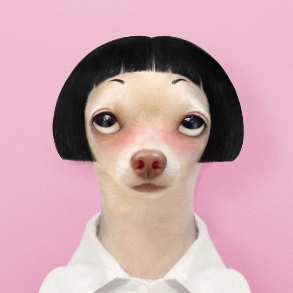 An Image