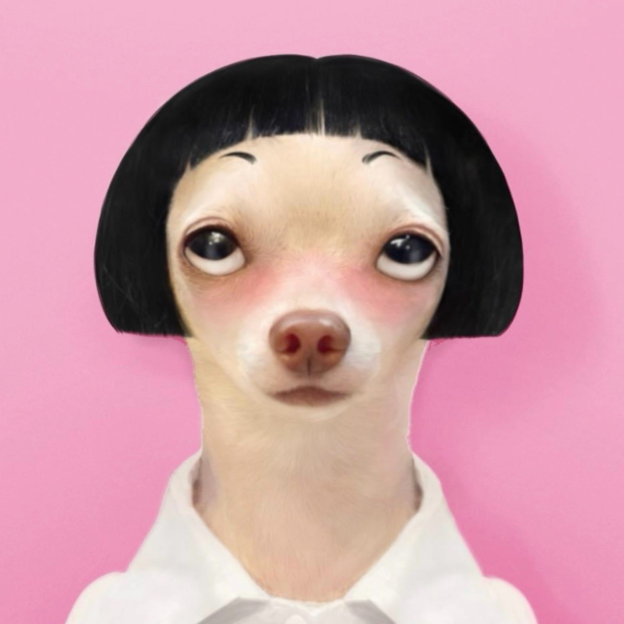 An Image