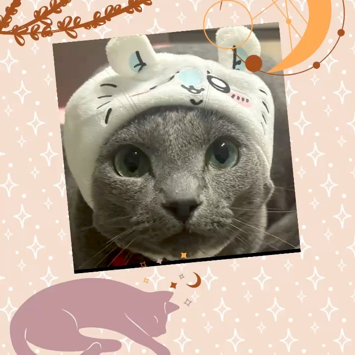 𓃠𝔈𝔯𝔦 ℌ𝔬𝔪𝔪𝔞k⃟𝔦𓃠