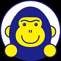 Show profile photo