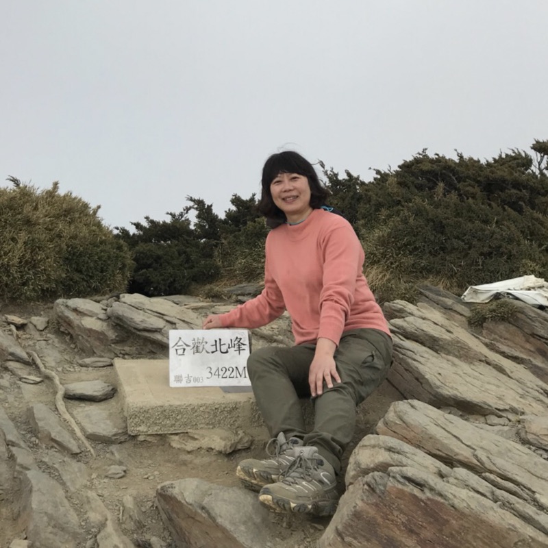 Nancy林峰綺的頭像