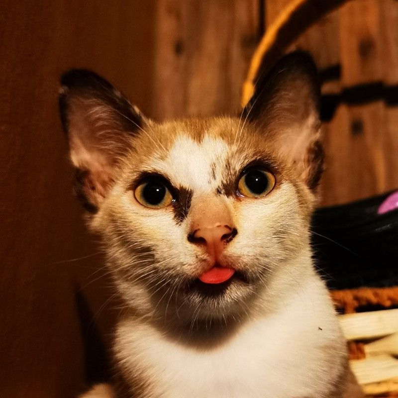 ตั้ม