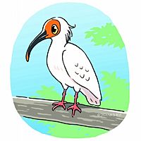 Show profile photo