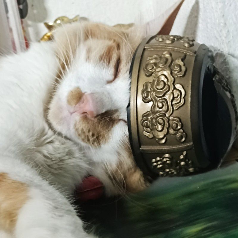 ออมสิน