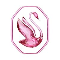 Show profile photo