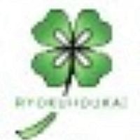 Show profile photo
