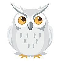 Show profile photo