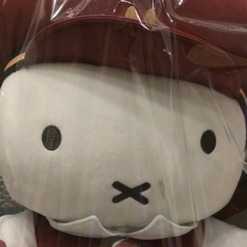 フジサキ