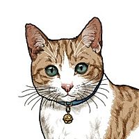 Show profile photo