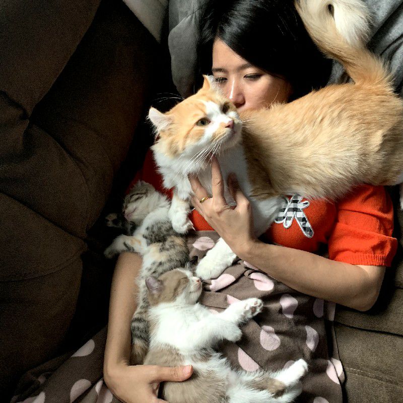 อั๊ง