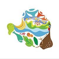 Show profile photo