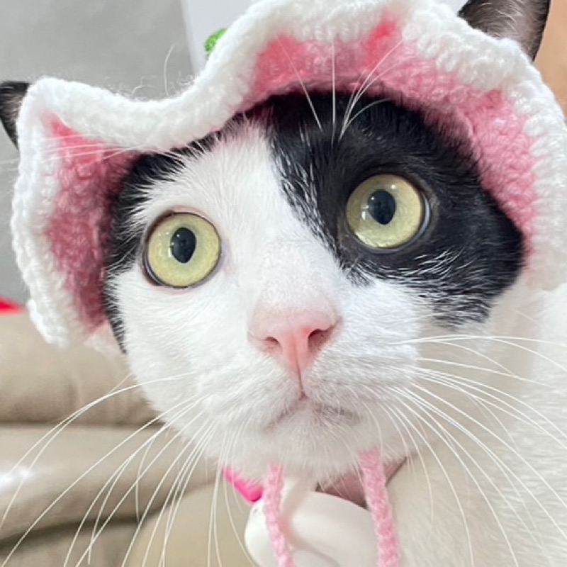 หมิว