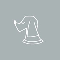 Show profile photo