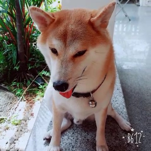 แก้ว