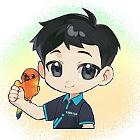 Show profile photo