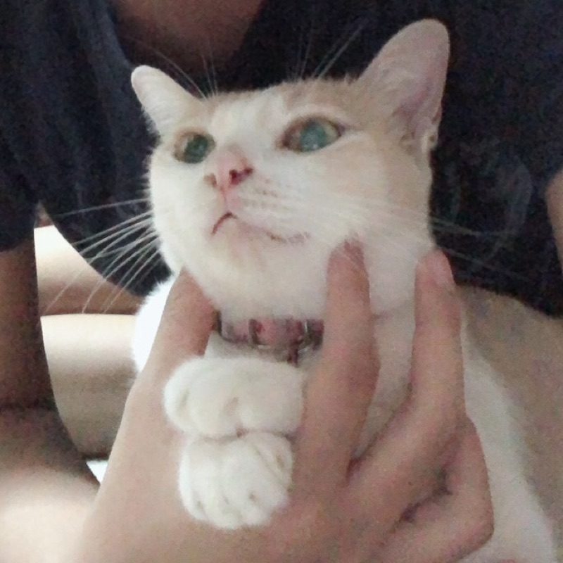 มิ้นท์