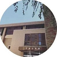 Show profile photo